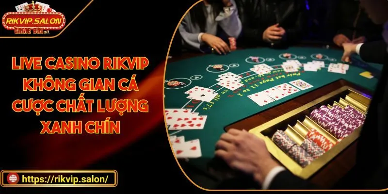 live casino rikvip khong gian ca cuoc chat luong xanh chin live casino RIKVIP