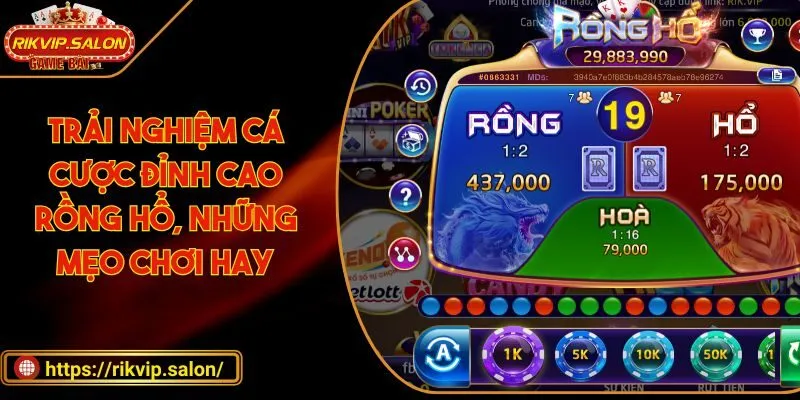 trai nghiem ca cuoc dinh cao rong ho nhung meo choi hay Rồng Hổ